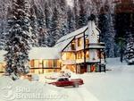 Austing Haus