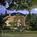 Graystone Inn::BedAndBreakfast.com