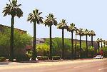 Phoenix Art Museum