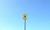 Super 8 Motel - Grayville from ProfessionalTravelGuide.com