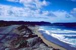 Monterey State Beach