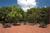 Hyatt Fair Lakes::Priceline.com