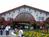 Busch Gardens Williamsburg::ThrillNetwork.com