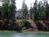 Three Pines Bed and Breakfast::Yahoo! Travel