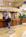Best Western Lincoln Inn & Suites::Orbitz