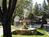 Paradise Inn::Priceline.com