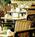 Courtyard by Marriott Oakland Downtown::Expedia