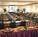 Doubletree Club Dallas Farmers Branch::Yahoo! Travel
