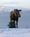 Alaska Adventure Cabins::BedAndBreakfast.com