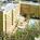 Residence Inn Anaheim Resort Area from Orbitz