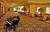 Hilton San Diego Del Mar from Expedia