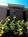 Holiday Inn Express Suites Cookeville::Priceline.com