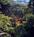 Sycamore Mineral Springs from Hotels.com