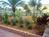 Holiday Inn Express Suites Port Charlotte::Priceline.com