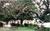 Meadowlark Inn::BedAndBreakfast.com