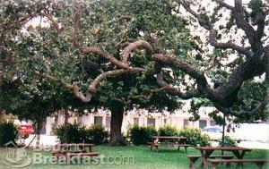 Meadowlark Inn::BedAndBreakfast.com