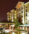 Hampton Inn and Suites - Denver/Cherry Creek