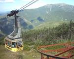 Dan's Scenic Tours, LLC, Moose Tours & Shuttle Services