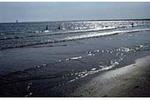 Horseneck Beach State Reservation