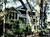 ResortQuest Rentals at Kiawah Island::Expedia