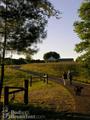 Wolf Creek Farm