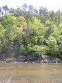 Tn-474107598_672416b824_m