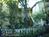 A Yellow Rose::BedAndBreakfast.com
