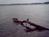Reelfoot Lake Inn::TripAdvisor
