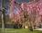 The Chateau Inn & Suites::BedAndBreakfast.com