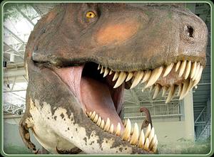 Dinosaur Walk Museum::Dinowalk.com