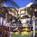 Ron Jon Cape Caribe Resort::Travelocity.com