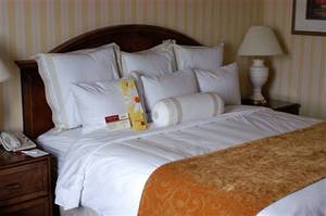Web-marriott_austin_airport_south_44797_2_08062006_1908127343_500