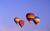 Days Inn Hotel Circle San Diego::Orbitz