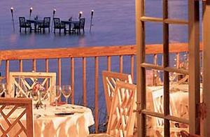 Web-ftl_palm-foods-2