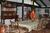 Blue Moon Bed & Breakfast::BedAndBreakfast.com