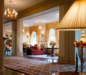 Web-npt_viki-lobby-1