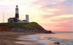 Tn-ronny_b20