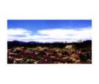 Bradshaw Trail