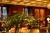 The Adolphus::ZoomAndGo