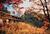 Skyland Resort::Yahoo! Travel