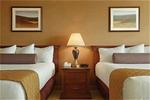 Harrah S Metropolis Casino::Priceline.com