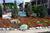 Ramada Limited Knoxville Area::Orbitz