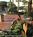 Holiday Inn Naples::Yahoo! Travel