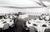 Grand Inn Conference Center::Travelocity.com