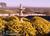 Villa Valdemosa::BedAndBreakfast.com