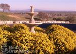 Tn-paso-robles-inns-villa-valdemosa