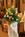 Holiday Inn North Shore::Orbitz