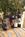 Holiday Inn Express York::Orbitz