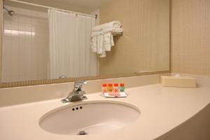 Web-msn_hime-bathr-1