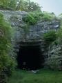 Old Tunnel Bat Cave